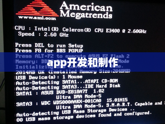 app开发和制作