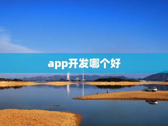 app开发哪个好