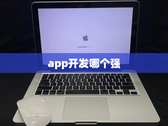app开发哪个强
