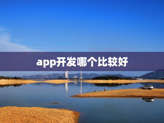 app开发哪个比较好