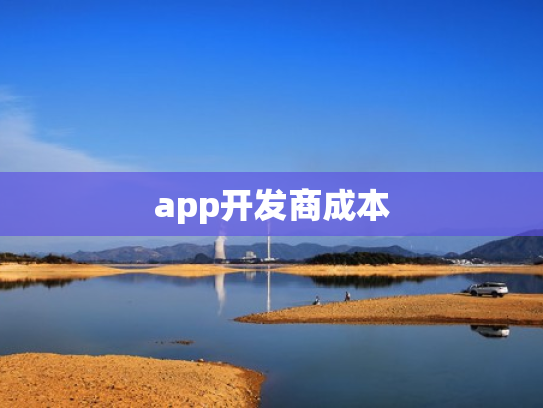 app开发商成本