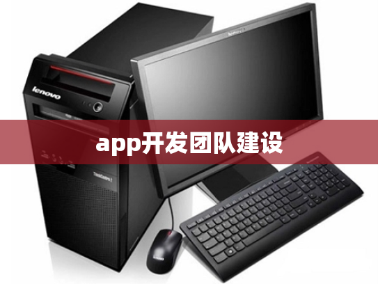 app开发团队建设