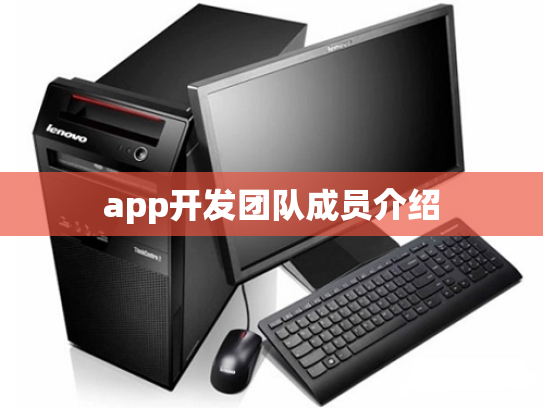 app开发团队成员介绍