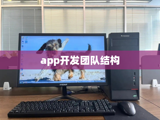app开发团队结构
