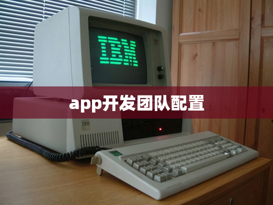 app开发团队配置