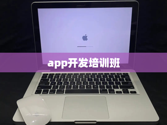 app开发培训班