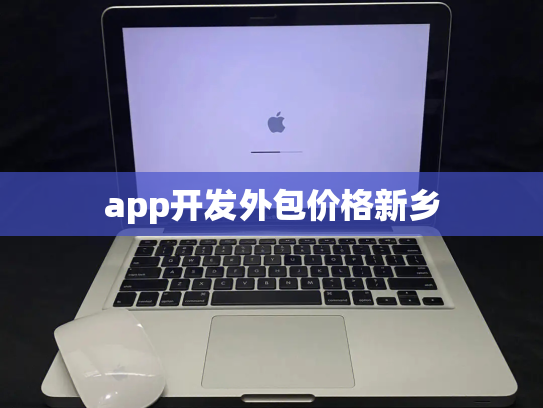 app开发外包价格新乡