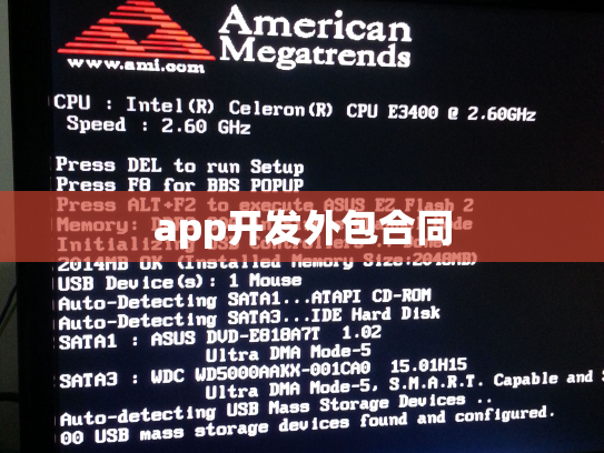 app开发外包合同