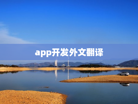 app开发外文翻译