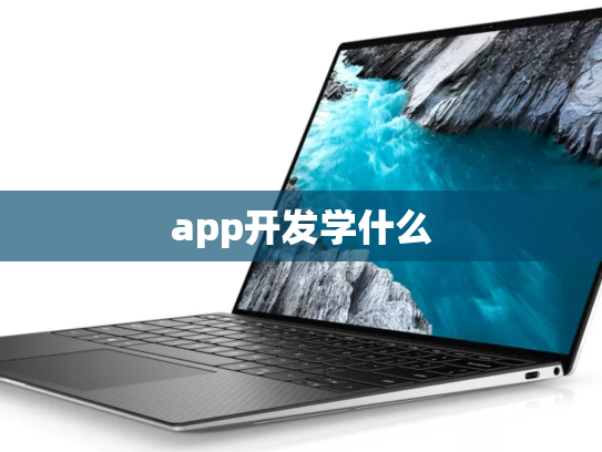 app开发学什么