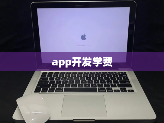 app开发学费