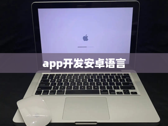 app开发安卓语言