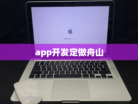 app开发定做舟山