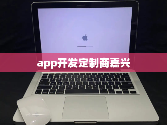 app开发定制商嘉兴