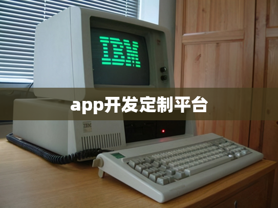app开发定制平台