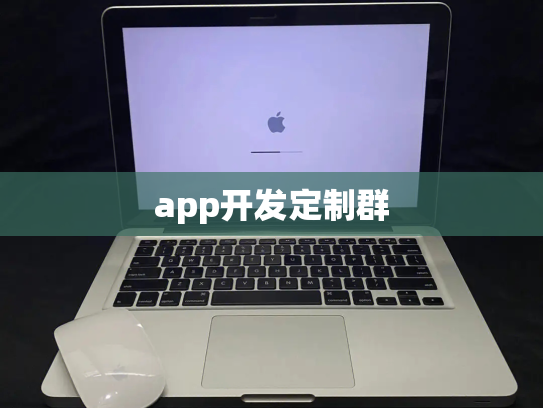 app开发定制群