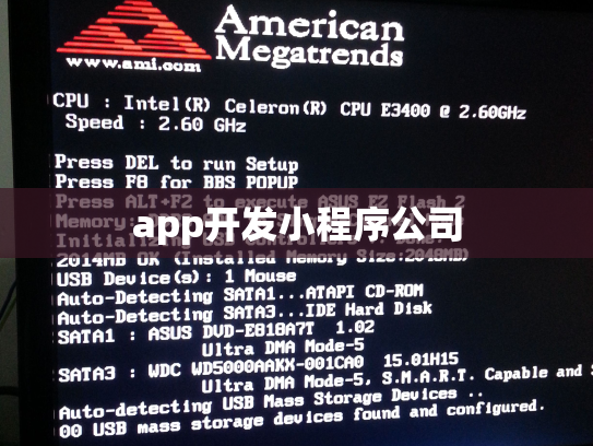 app开发小程序公司