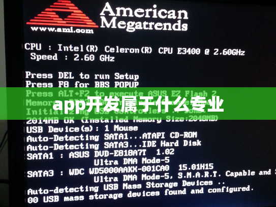 app开发属于什么专业