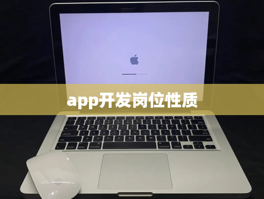 app开发岗位性质