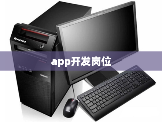 app开发岗位