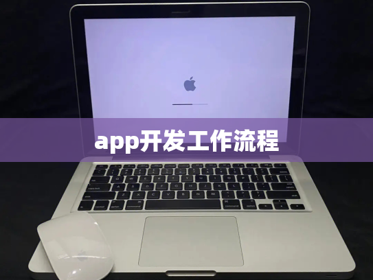 app开发工作流程