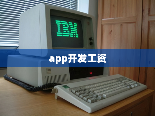 app开发工资