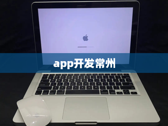 app开发常州