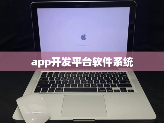 app开发平台软件系统