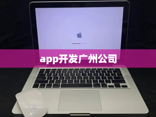 app开发广州公司