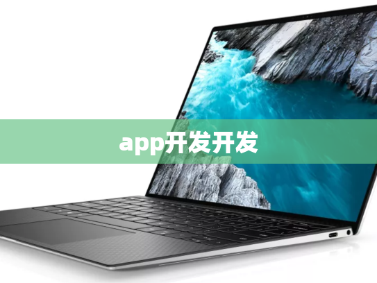 app开发开发