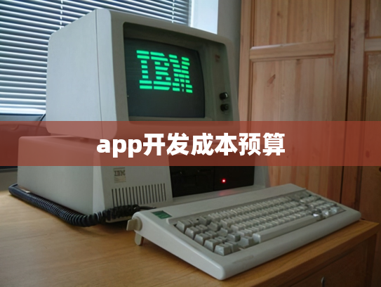 app开发成本预算