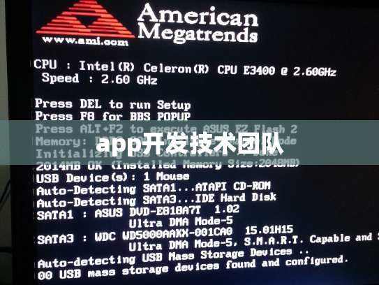 app开发技术团队
