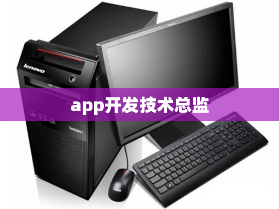 app开发技术总监