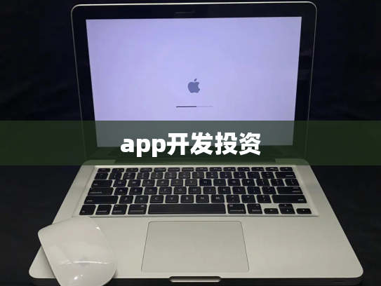 app开发投资