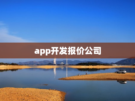 app开发报价公司