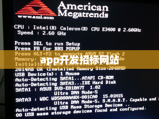 app开发招标网站
