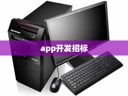 app开发招标