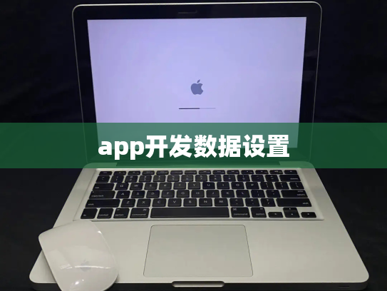 app开发数据设置