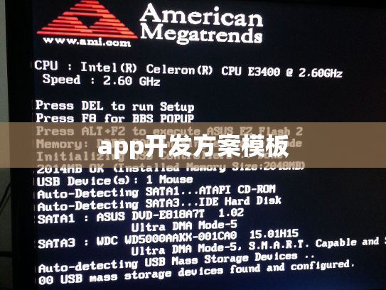 app开发方案模板