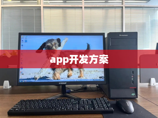 app开发方案