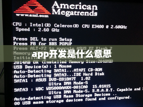 app开发是什么意思