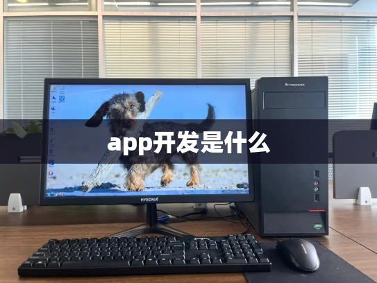 app开发是什么
