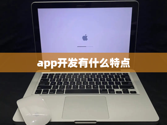 app开发有什么特点