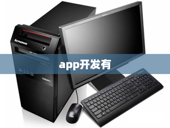 app开发有