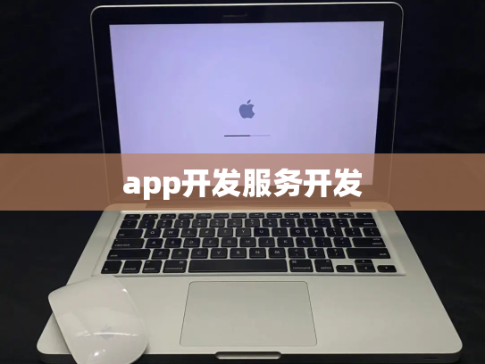 app开发服务开发
