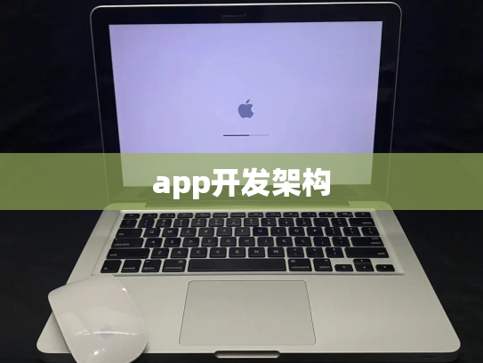 app开发架构