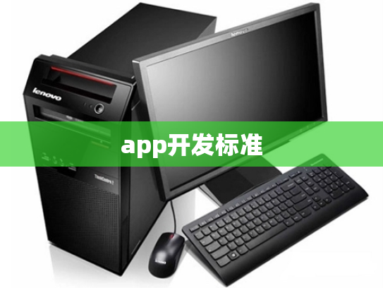 app开发标准