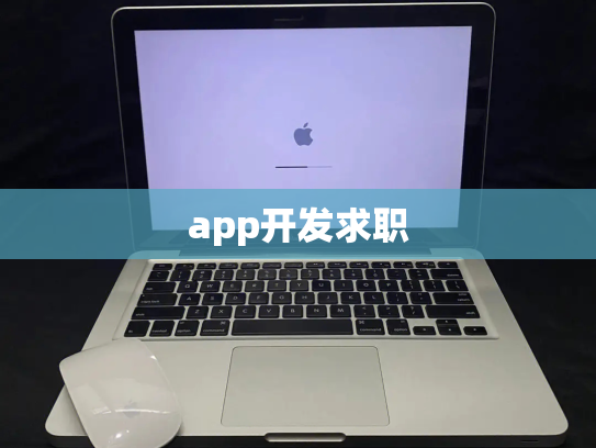 app开发求职