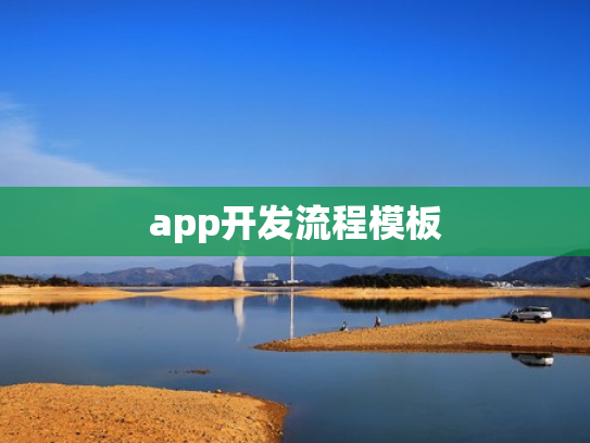 app开发流程模板