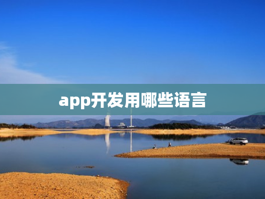 app开发用哪些语言